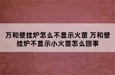 万和壁挂炉怎么不显示火苗 万和壁挂炉不显示小火苗怎么回事